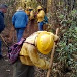 Mujeres diversas de Oaxaca en lucha constante para poder participar como candidatas