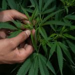 ¡Hay Chamba! Pinterest Anuncia Apertura De Nuevas Oficinas En México