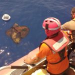 Mercado del cannabis representaría ganancias por hasta 10 mil millones de dólares: Anicann