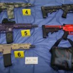 Dan paletas de hielo a animales en Quintana Roo