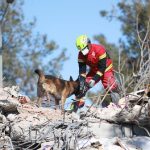 Hallan zona de adiestramiento para sicarios en sierra de Chihuahua