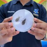 Perrito queda atrapado en medio de una barda; lo rescatan oficiales de la SSC y bomberos de CDMX