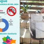 ¡Muy cómodo! Éstas son las primeras IMÁGENES de la jirafa Benito en Africam Safari