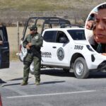 Adopta un amor: perros y gatos esperan un hogar en feria solidaria